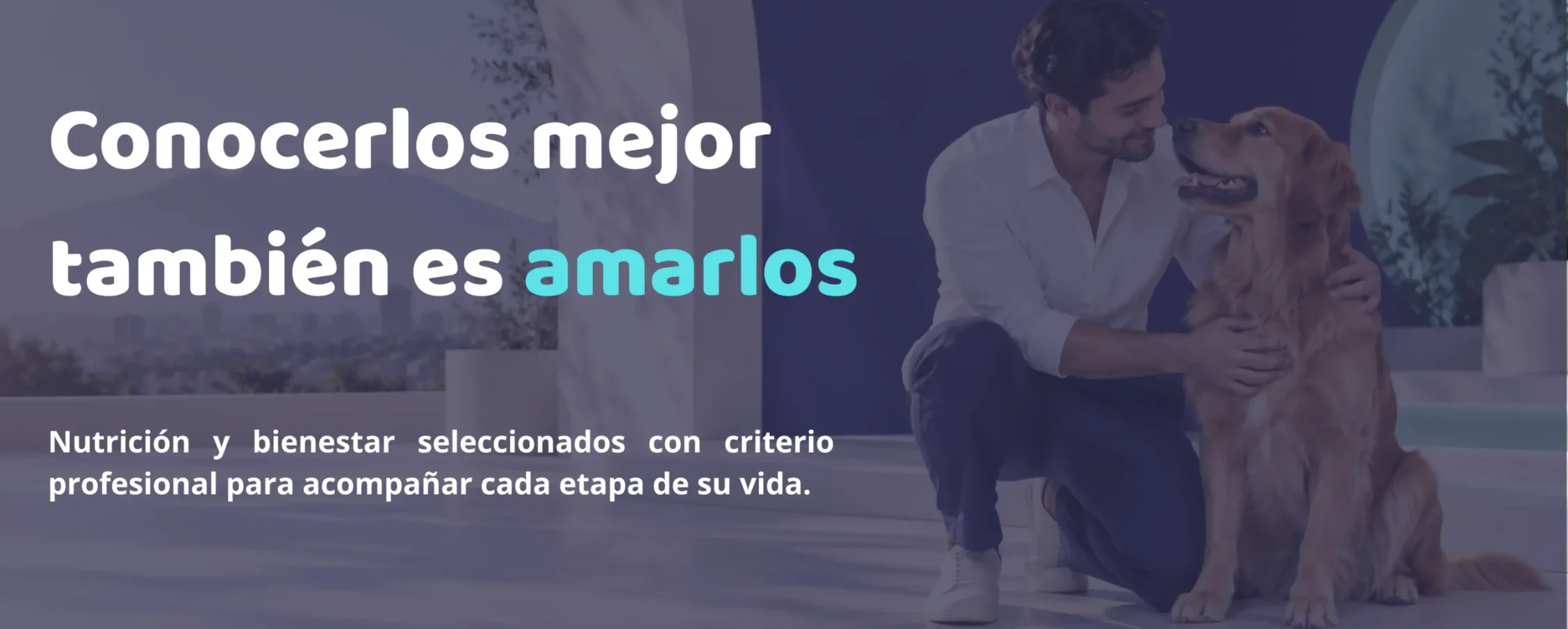 Petshop CDMX
